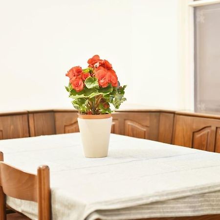Charming Spacious Apartment Wina Bagian luar foto